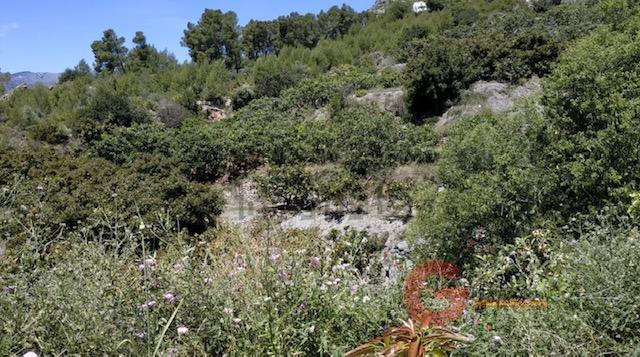 Vente de terrain dans Jete