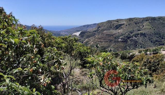 Vente de terrain dans Jete