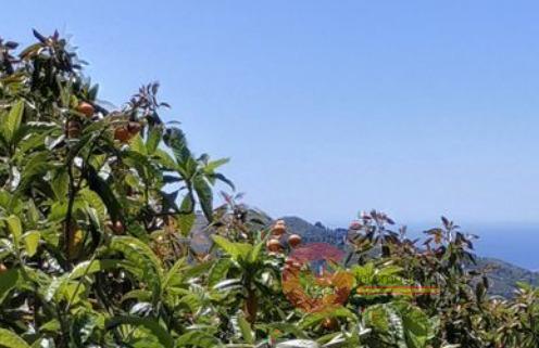 Vente de terrain dans Jete