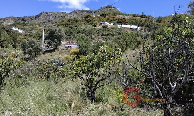 Vente de terrain dans Jete