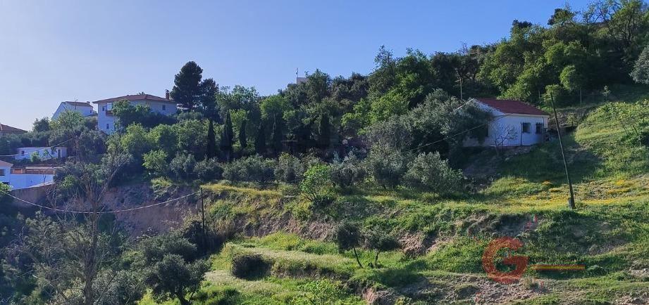 Vente de terrain dans Jete