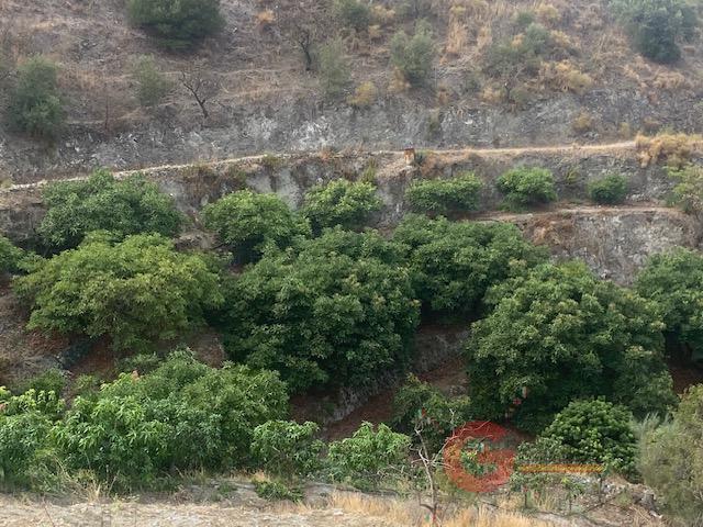 For sale of rural property in La Herradura