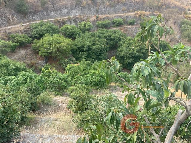 For sale of rural property in La Herradura