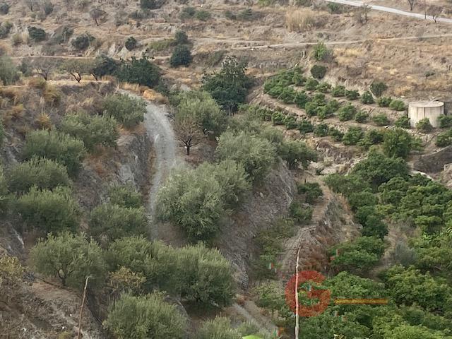For sale of rural property in La Herradura