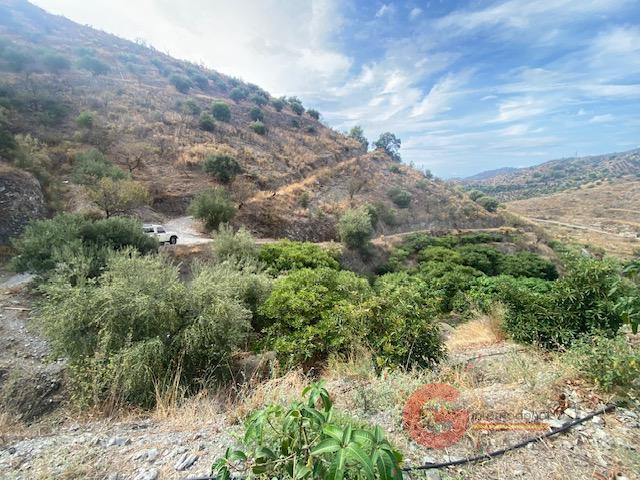 For sale of rural property in La Herradura