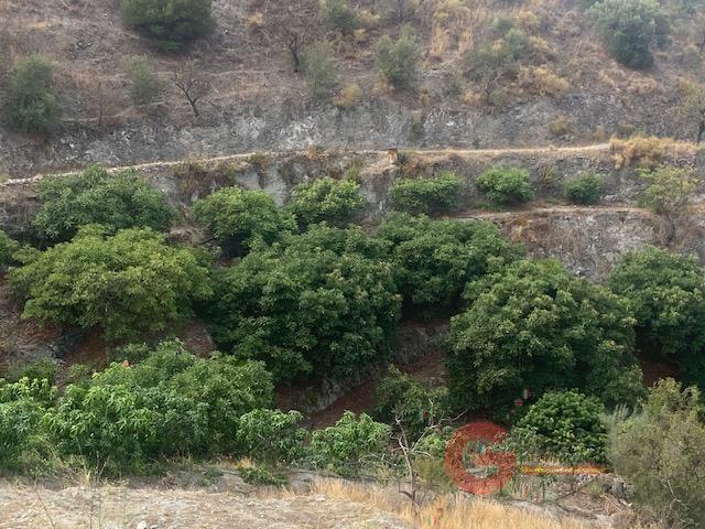 For sale of rural property in La Herradura