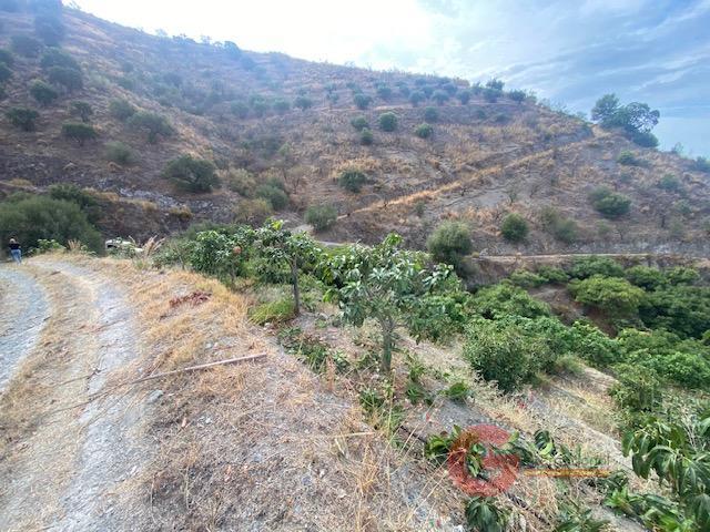 For sale of rural property in La Herradura