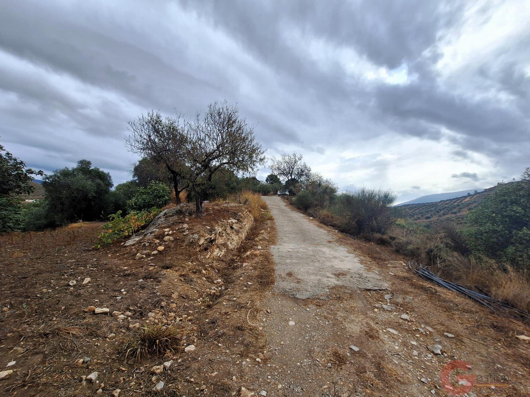 Venta de finca rústica en Lanjarón Venta de finca rústica en Lanjarón