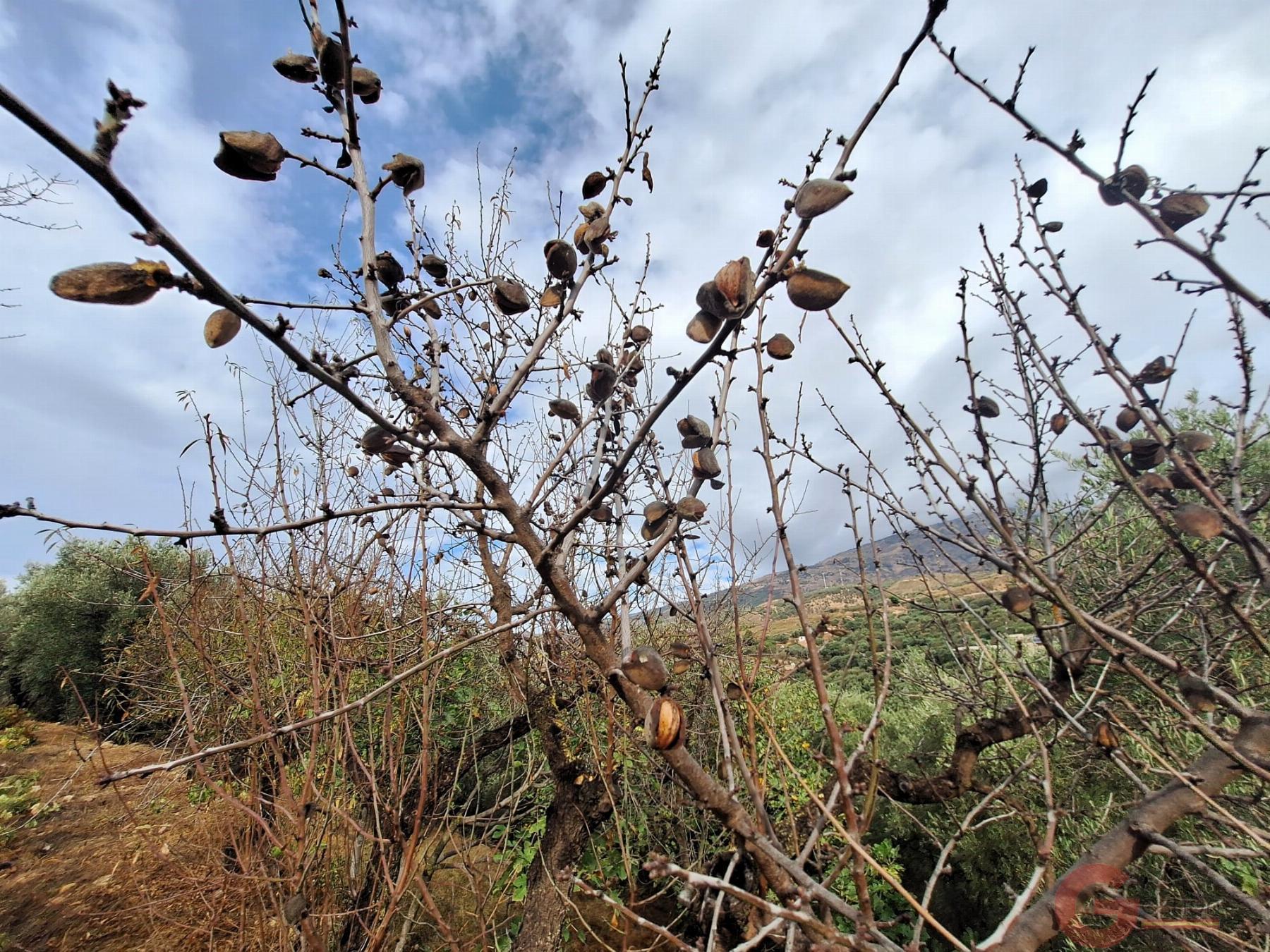 Venta de finca rústica en Lanjarón Venta de finca rústica en Lanjarón