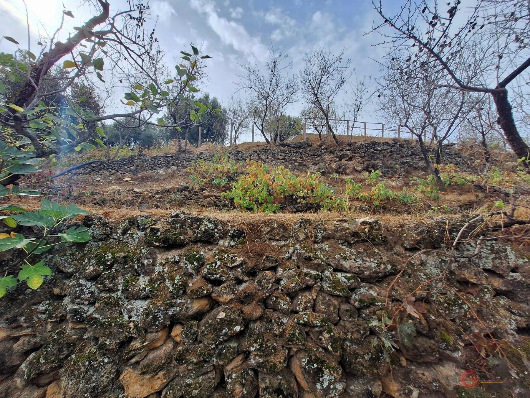 Vente de propriété rurale dans Lanjarón