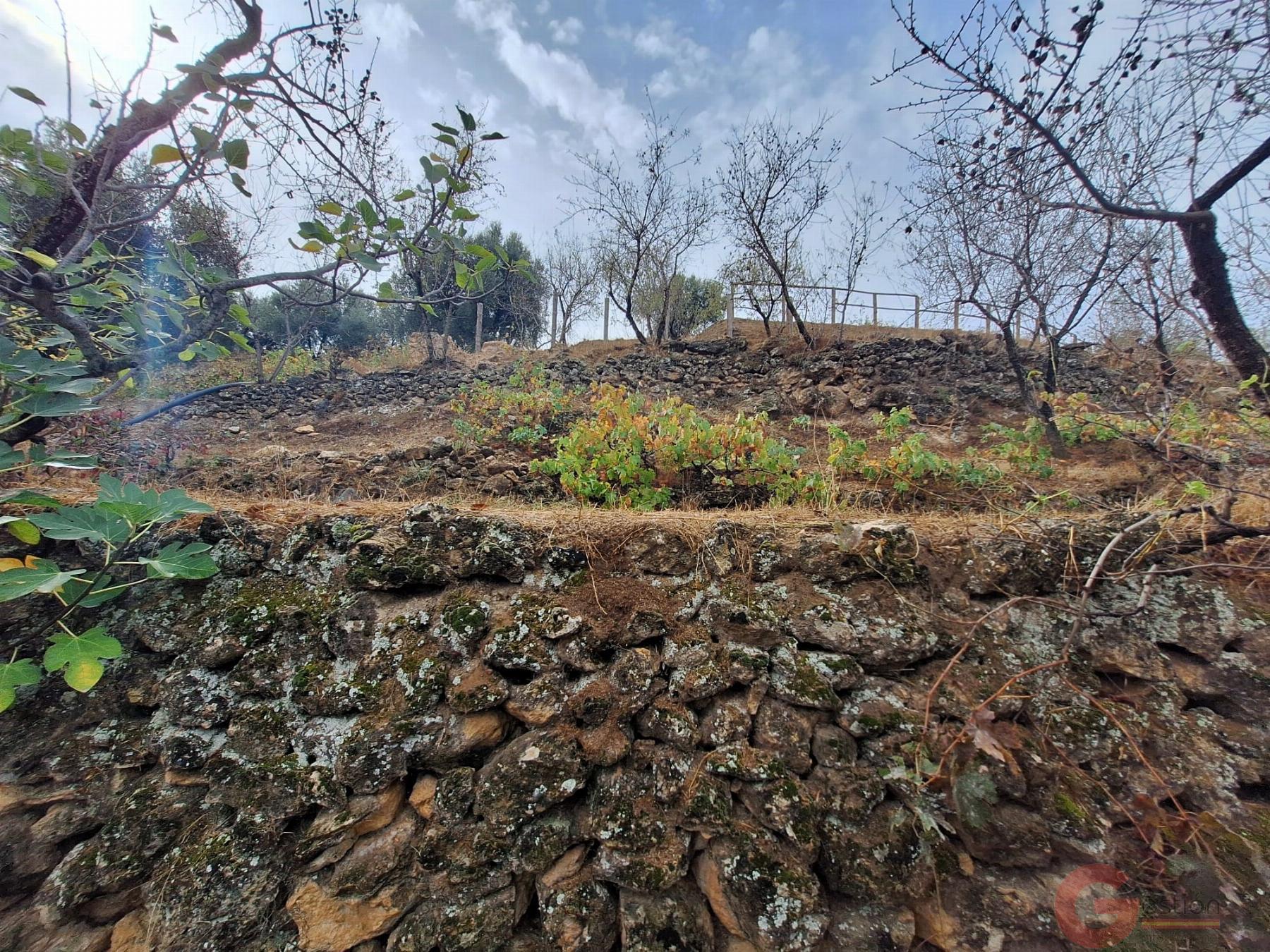 Venta de finca rústica en Lanjarón Venta de finca rústica en Lanjarón