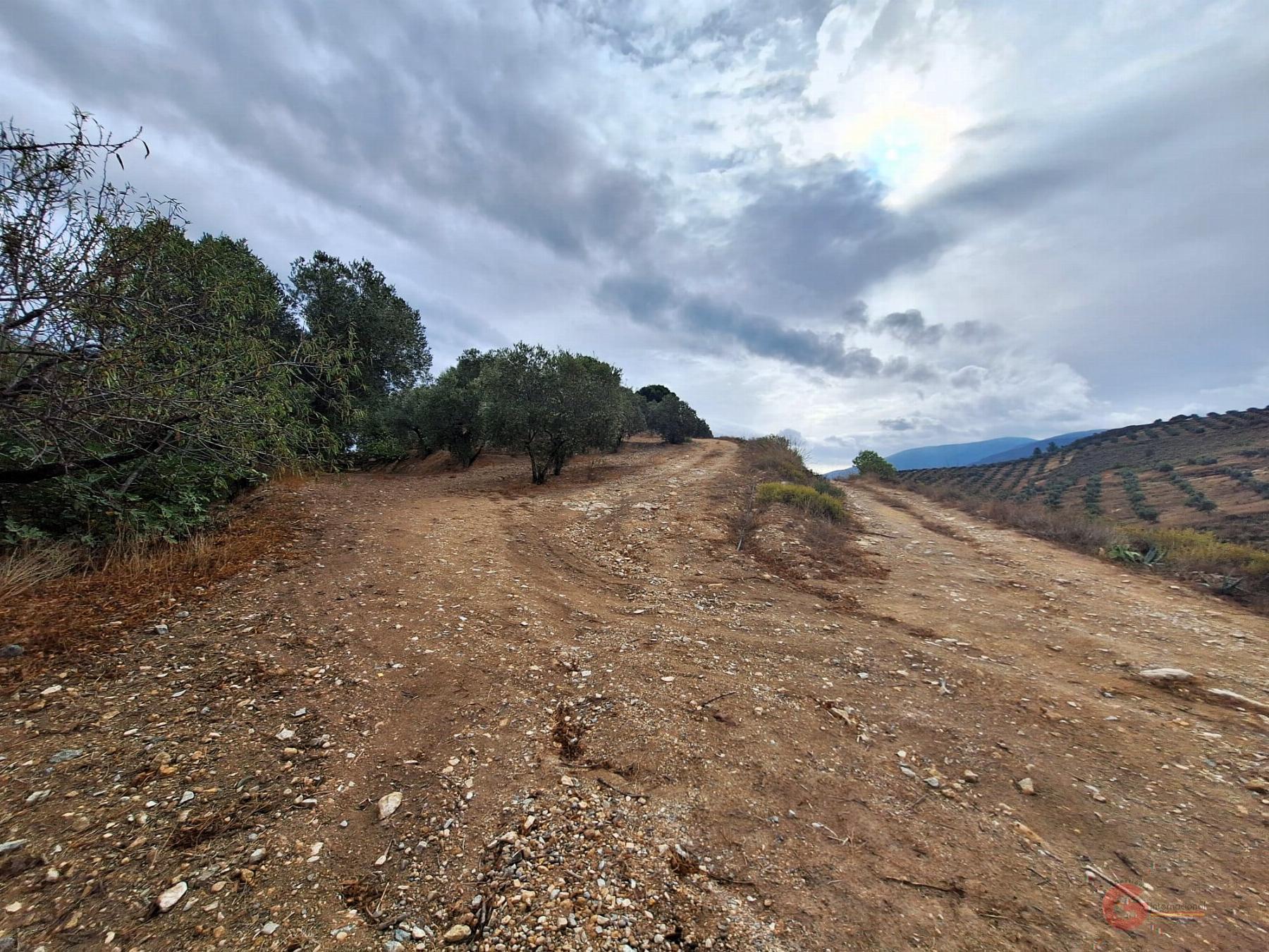 Vente de propriété rurale dans Lanjarón