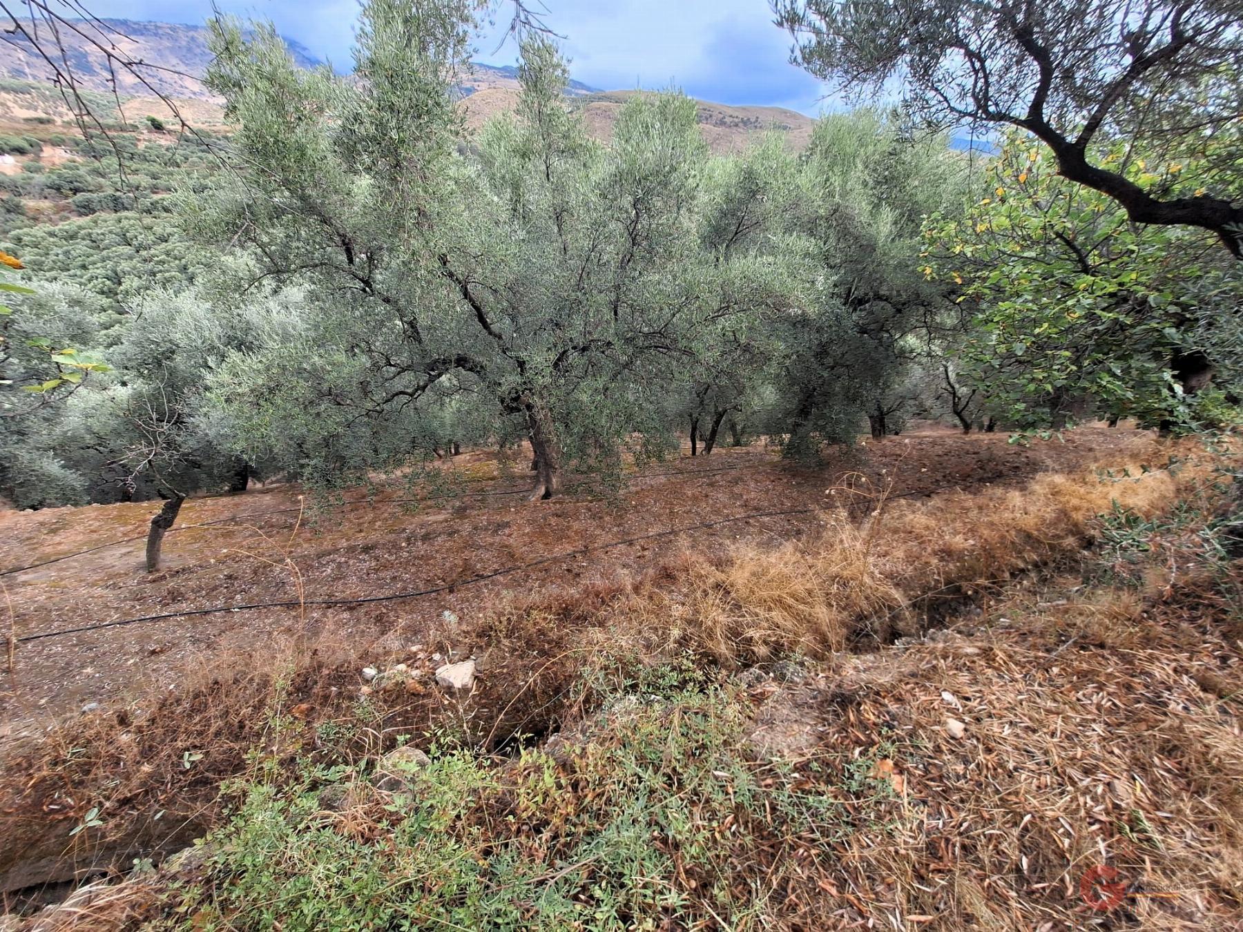 Vente de propriété rurale dans Lanjarón
