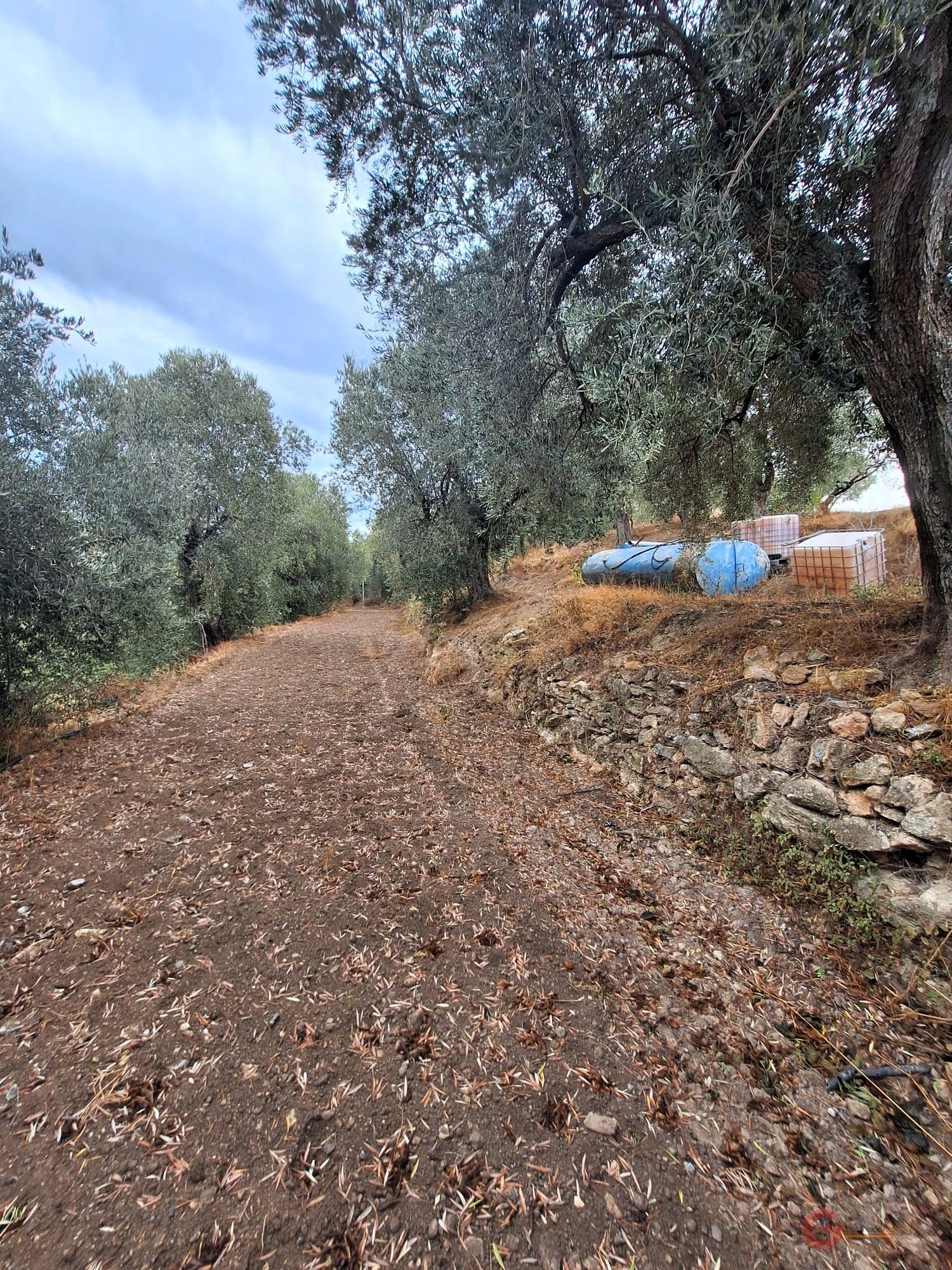 Vente de propriété rurale dans Lanjarón