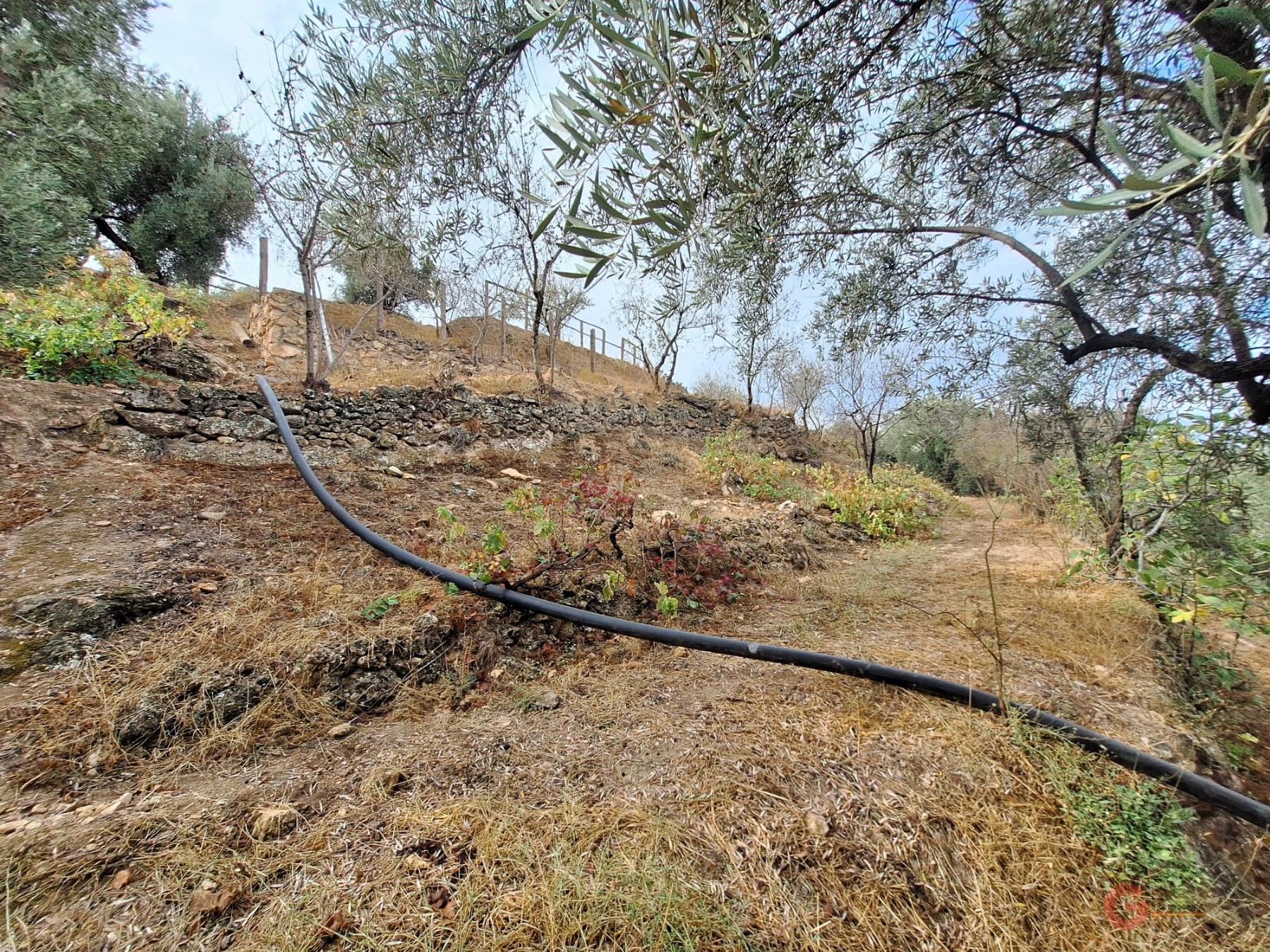 Vente de propriété rurale dans Lanjarón