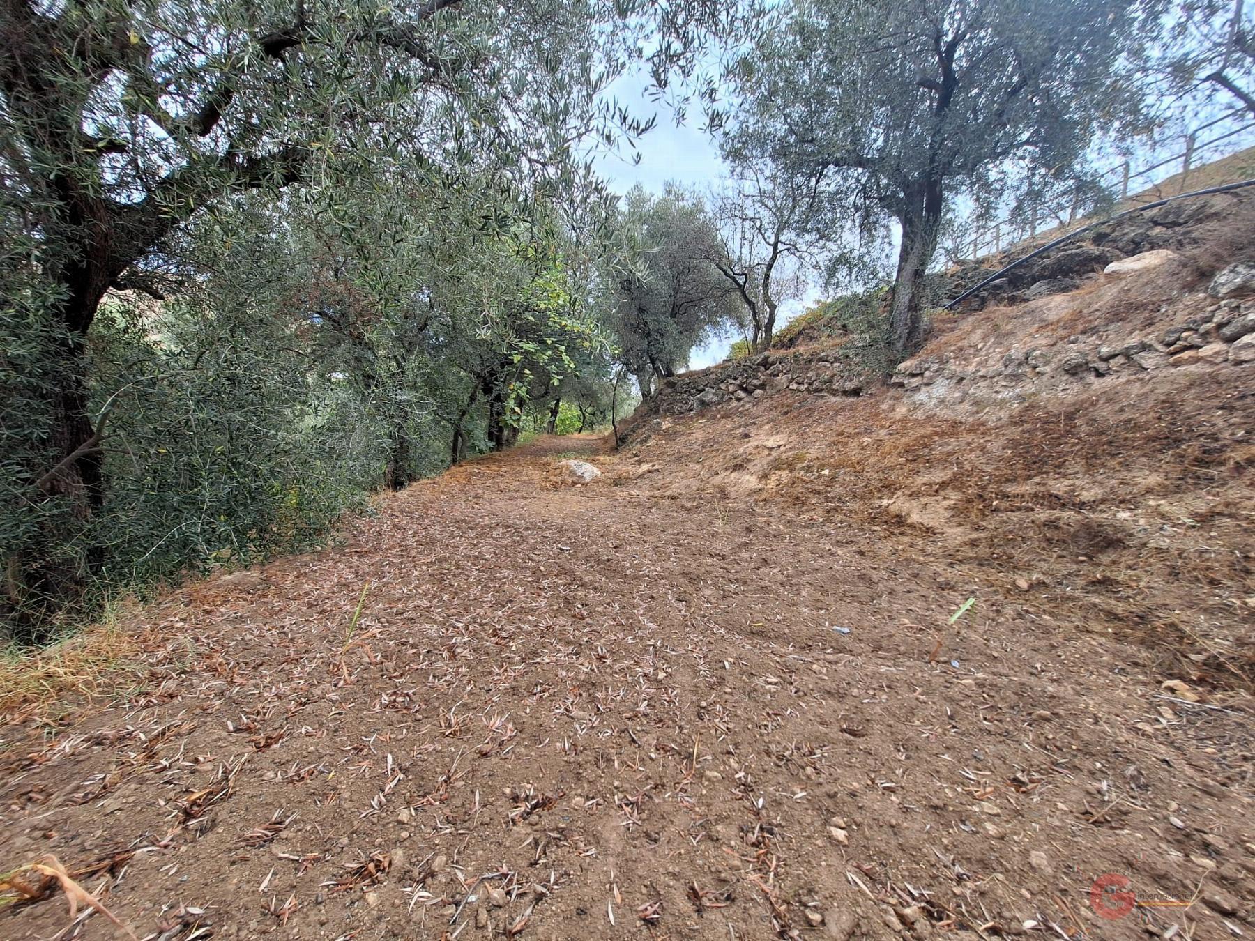 Vente de propriété rurale dans Lanjarón