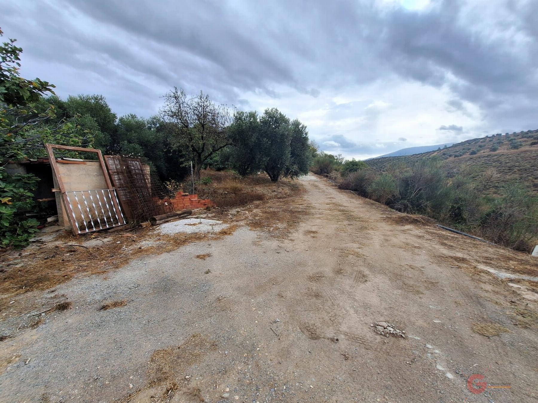 Vente de propriété rurale dans Lanjarón