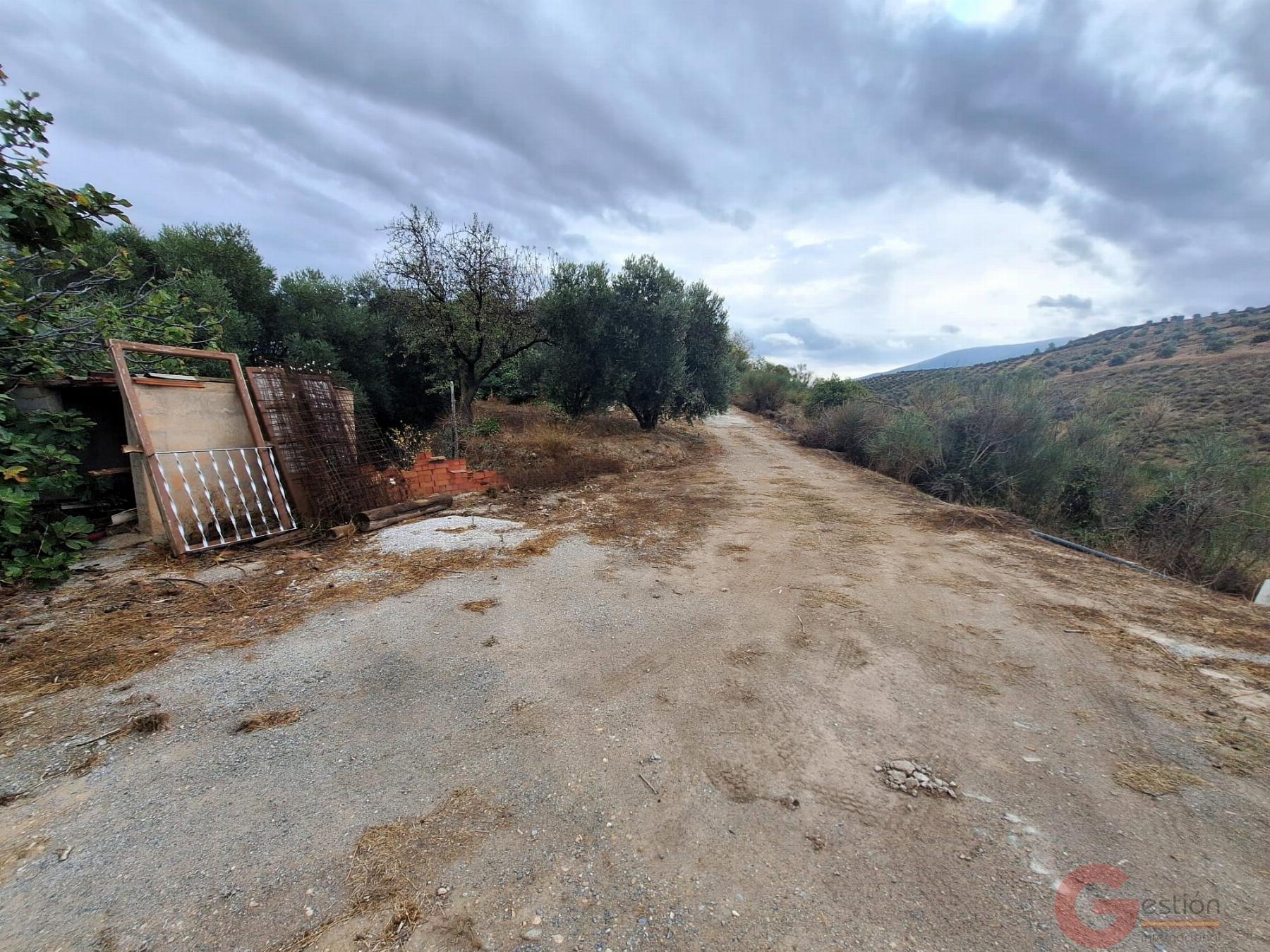 Venta de finca rústica en Lanjarón Venta de finca rústica en Lanjarón