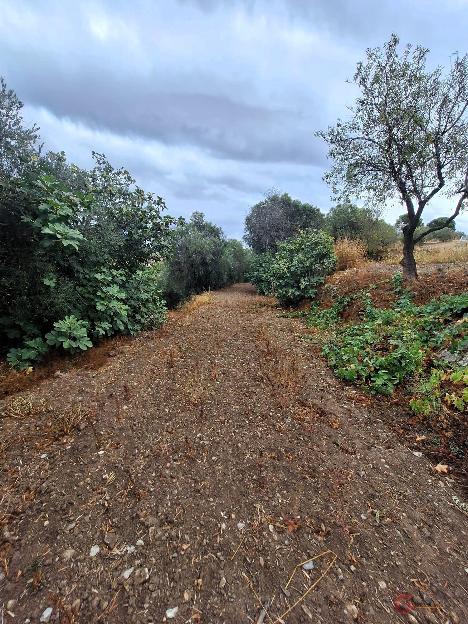 Vente de propriété rurale dans Lanjarón