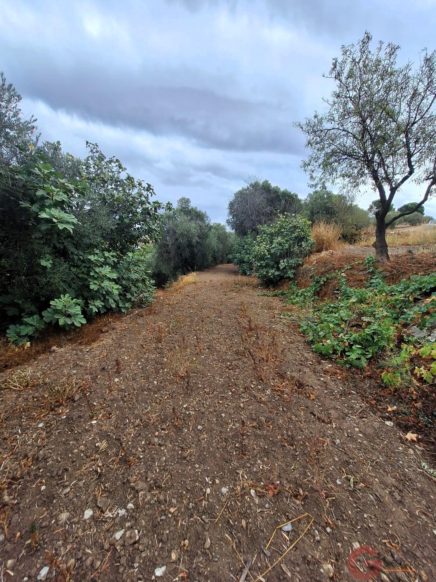 Venta de finca rústica en Lanjarón Venta de finca rústica en Lanjarón