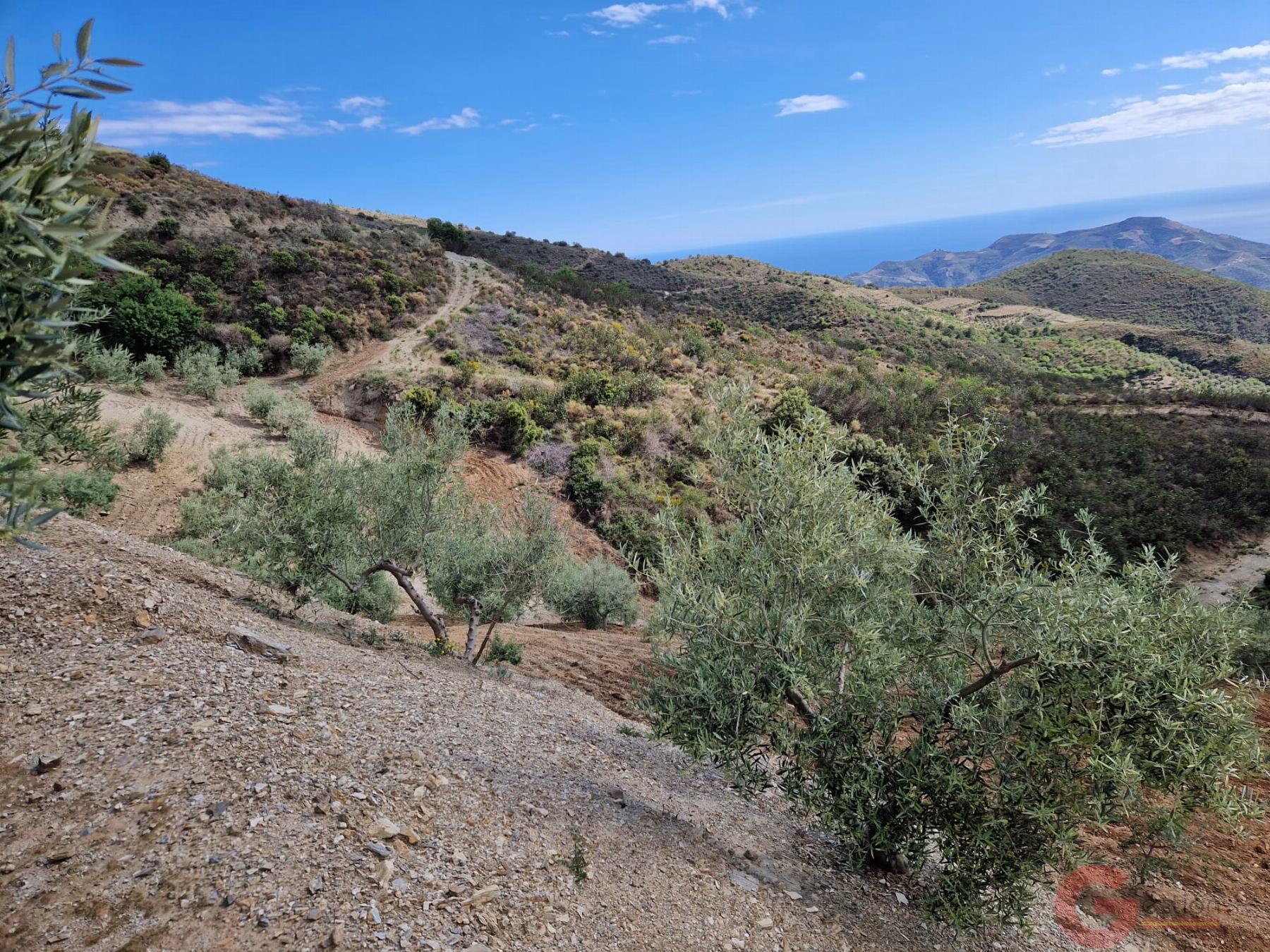 Venta de finca rústica en Itrabo