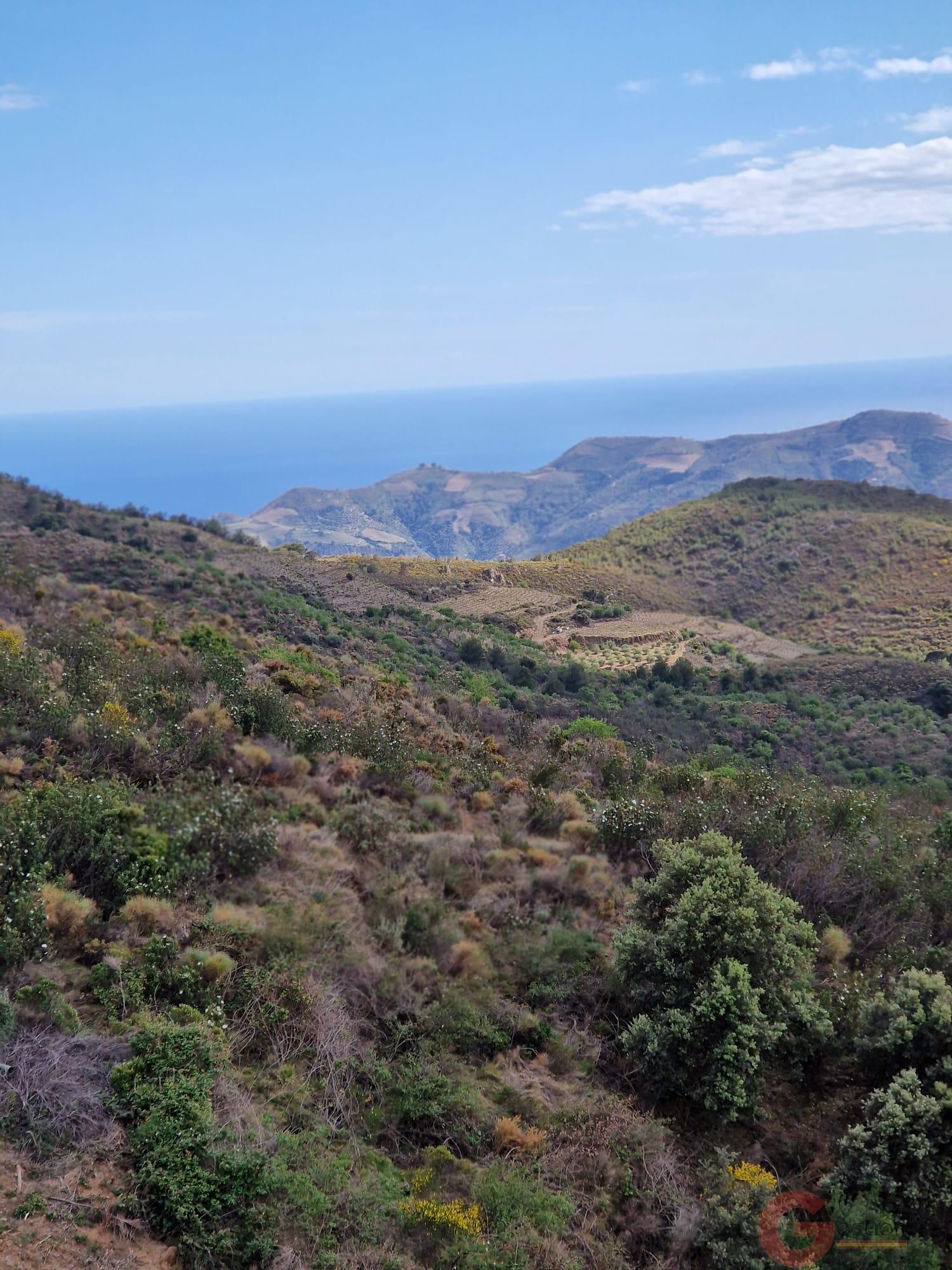 Venta de finca rústica en Itrabo