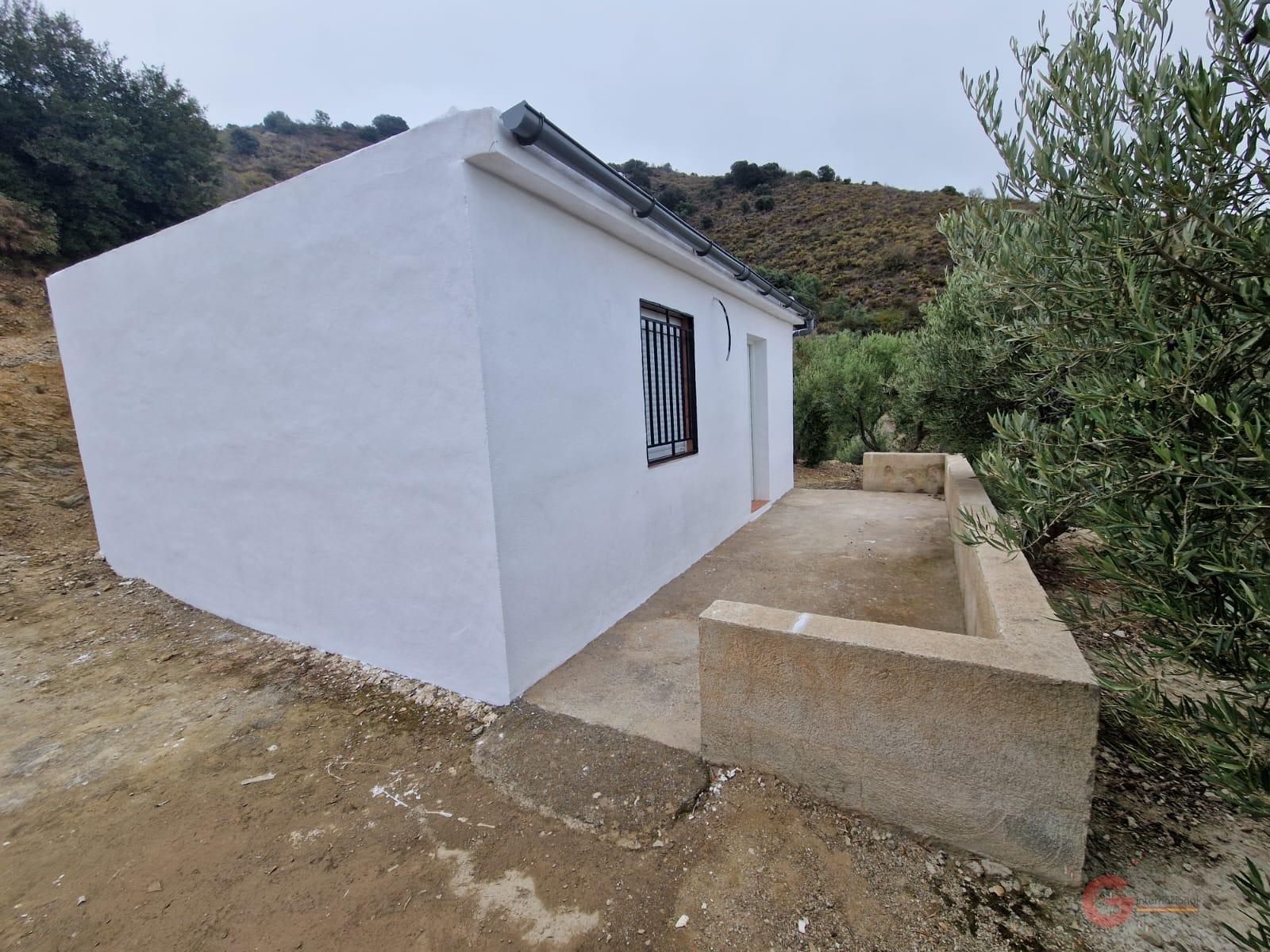 Vente de propriété rurale dans Itrabo