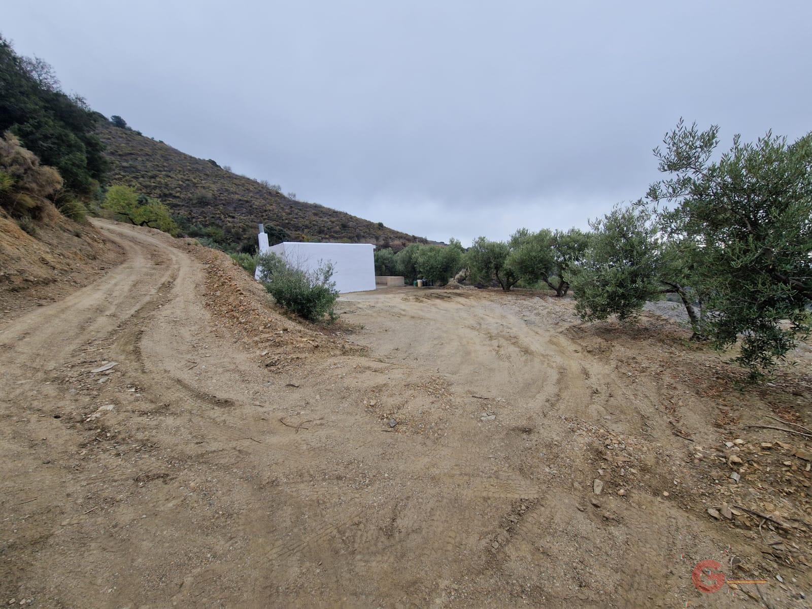 Vente de propriété rurale dans Itrabo