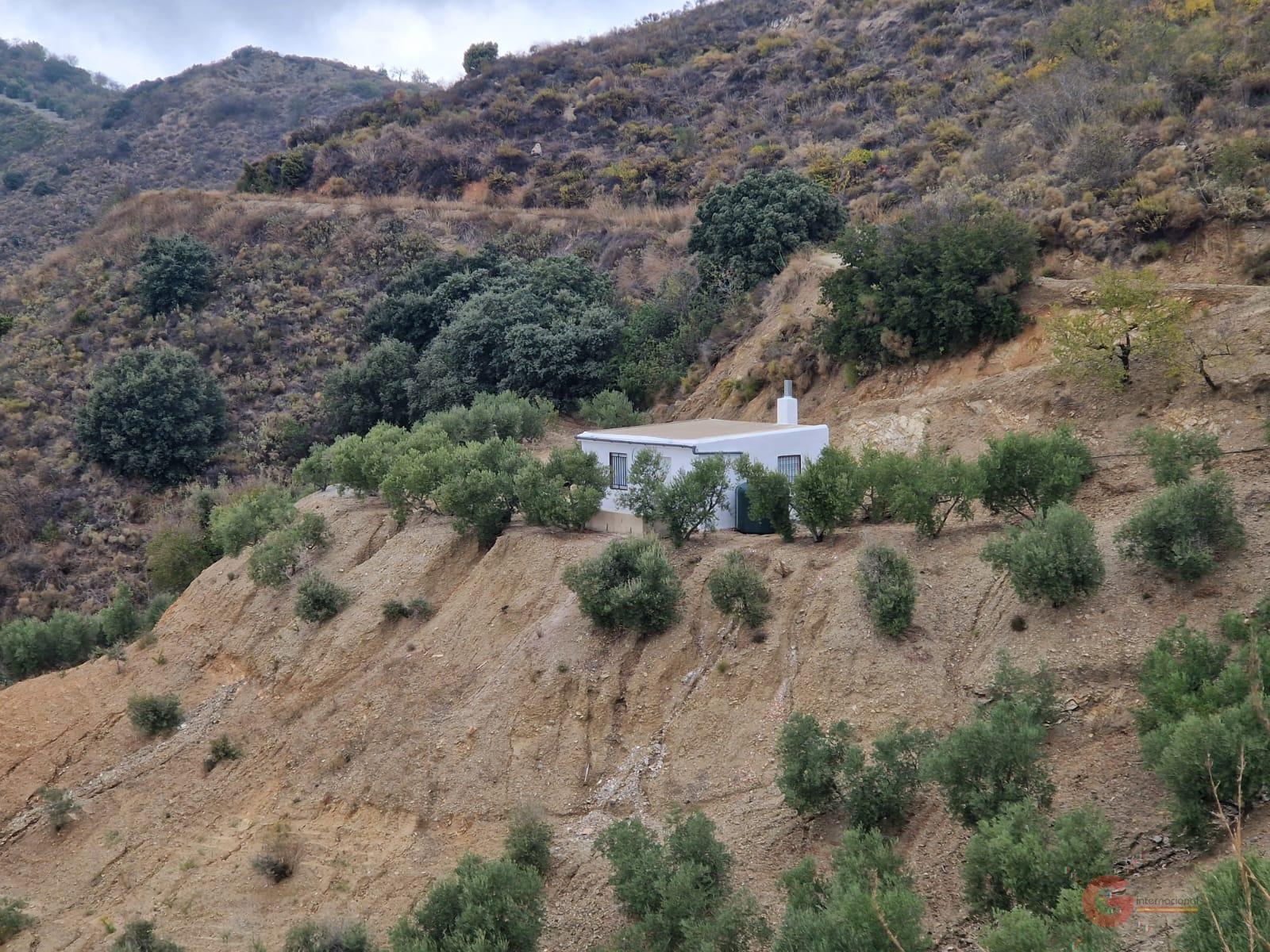 Vente de propriété rurale dans Itrabo