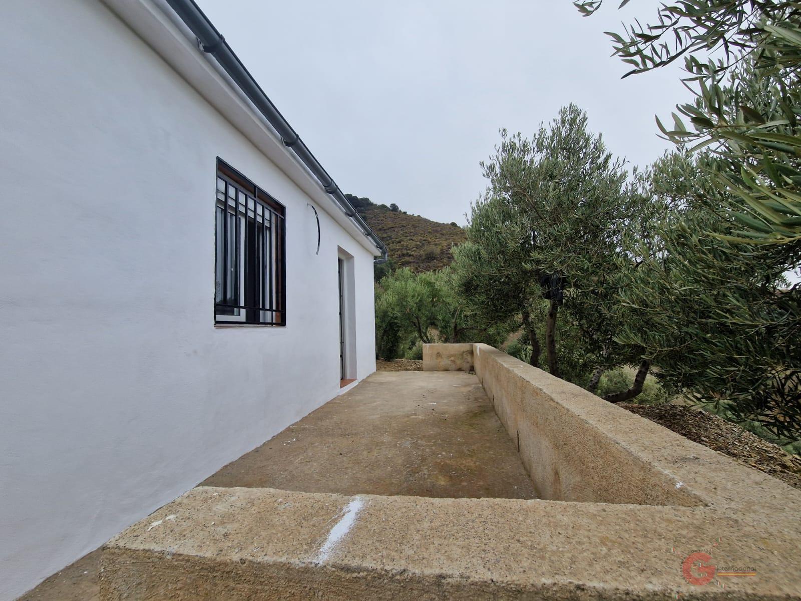 Vente de propriété rurale dans Itrabo