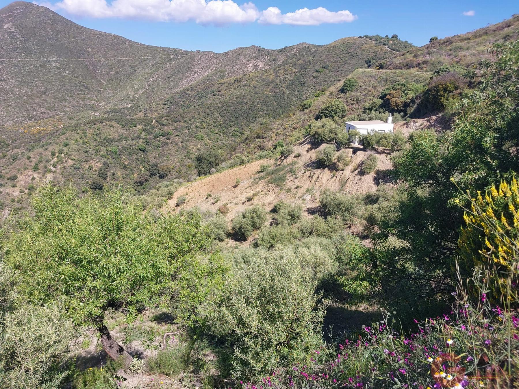Venta de finca rústica en Itrabo