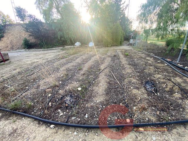 Venta de finca rústica en Torre del Mar Venta de finca rústica en Torre del Mar