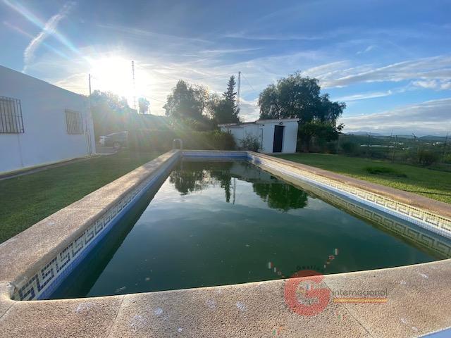 For sale of rural property in Torre del Mar