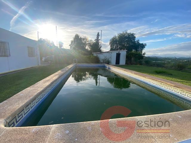 Venta de finca rústica en Torre del Mar Venta de finca rústica en Torre del Mar