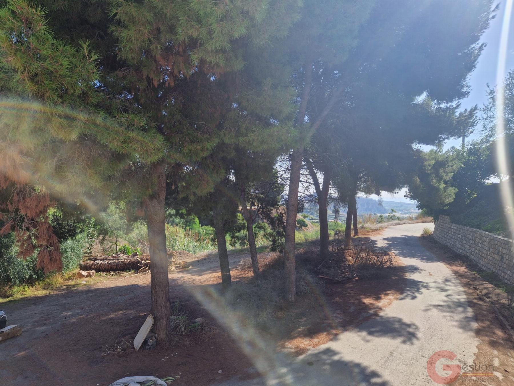 Venta de finca rústica en Salobreña Venta de finca rústica en Salobreña