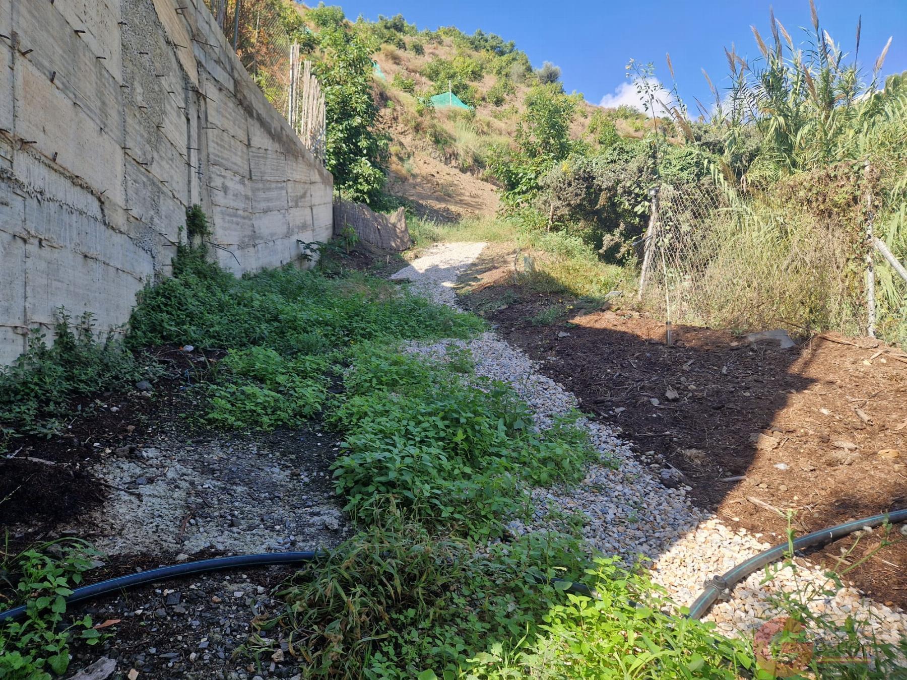 Venta de finca rústica en Salobreña Venta de finca rústica en Salobreña