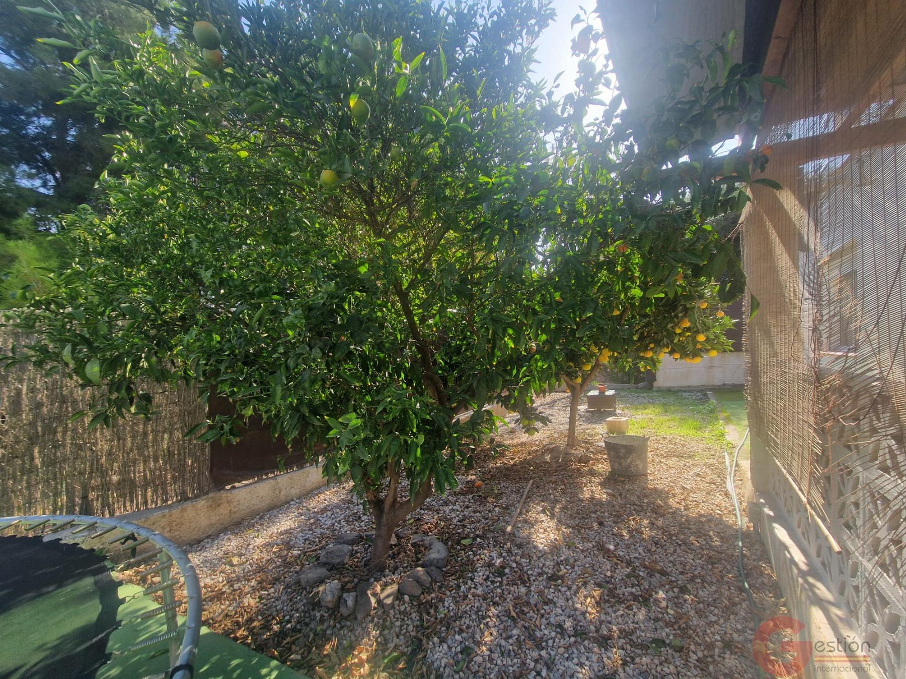 Venta de finca rústica en Salobreña Venta de finca rústica en Salobreña