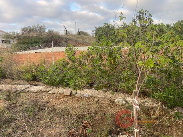For sale of rural property in Almayate Bajo