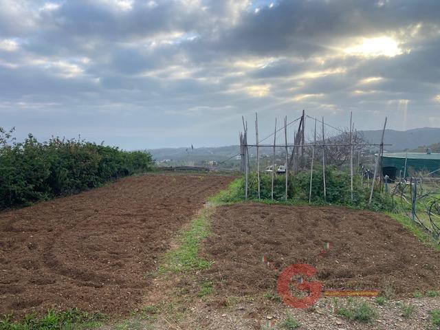 For sale of rural property in Almayate Bajo