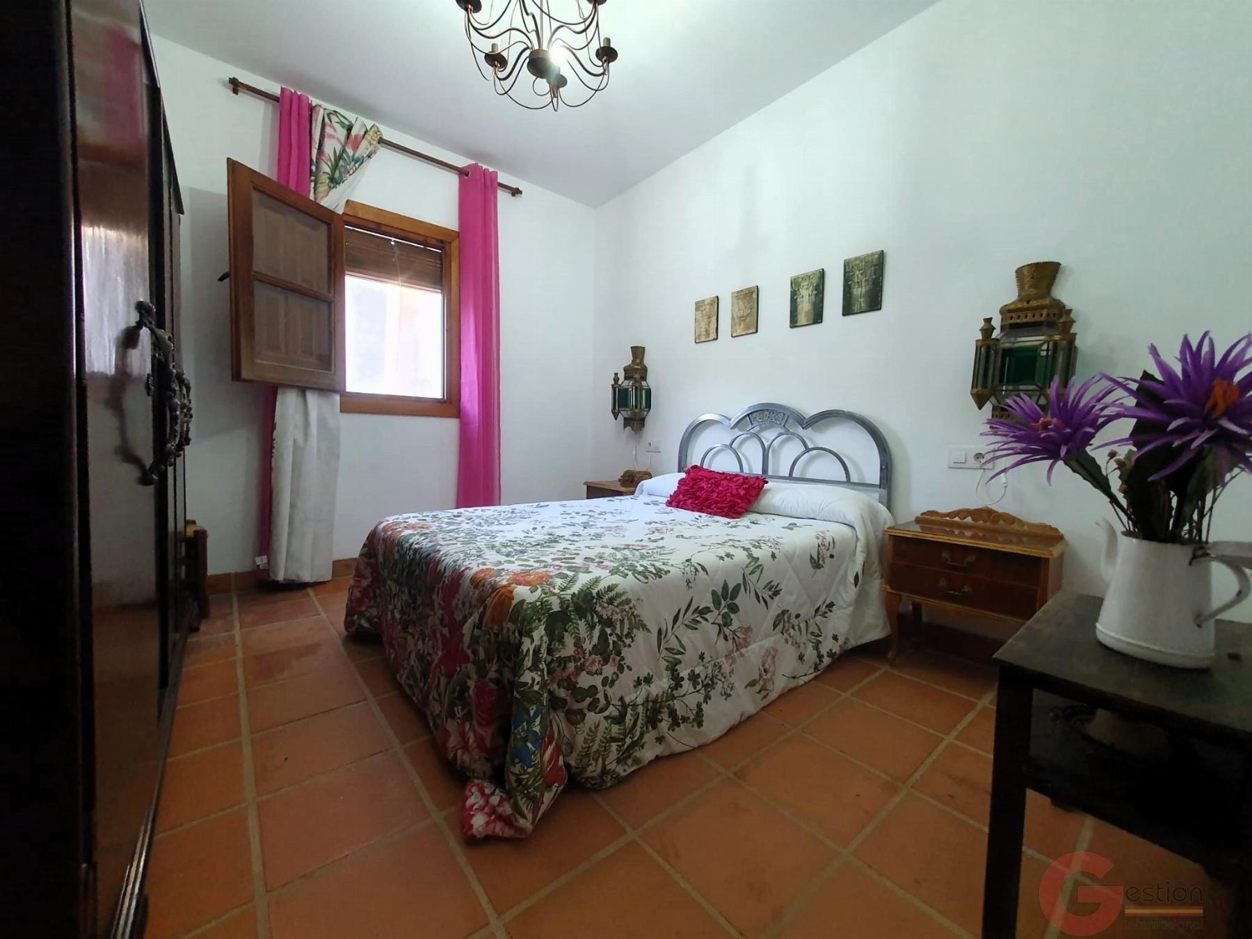 Venta de finca rústica en Vélez de Benaudalla Venta de finca rústica en Vélez de Benaudalla