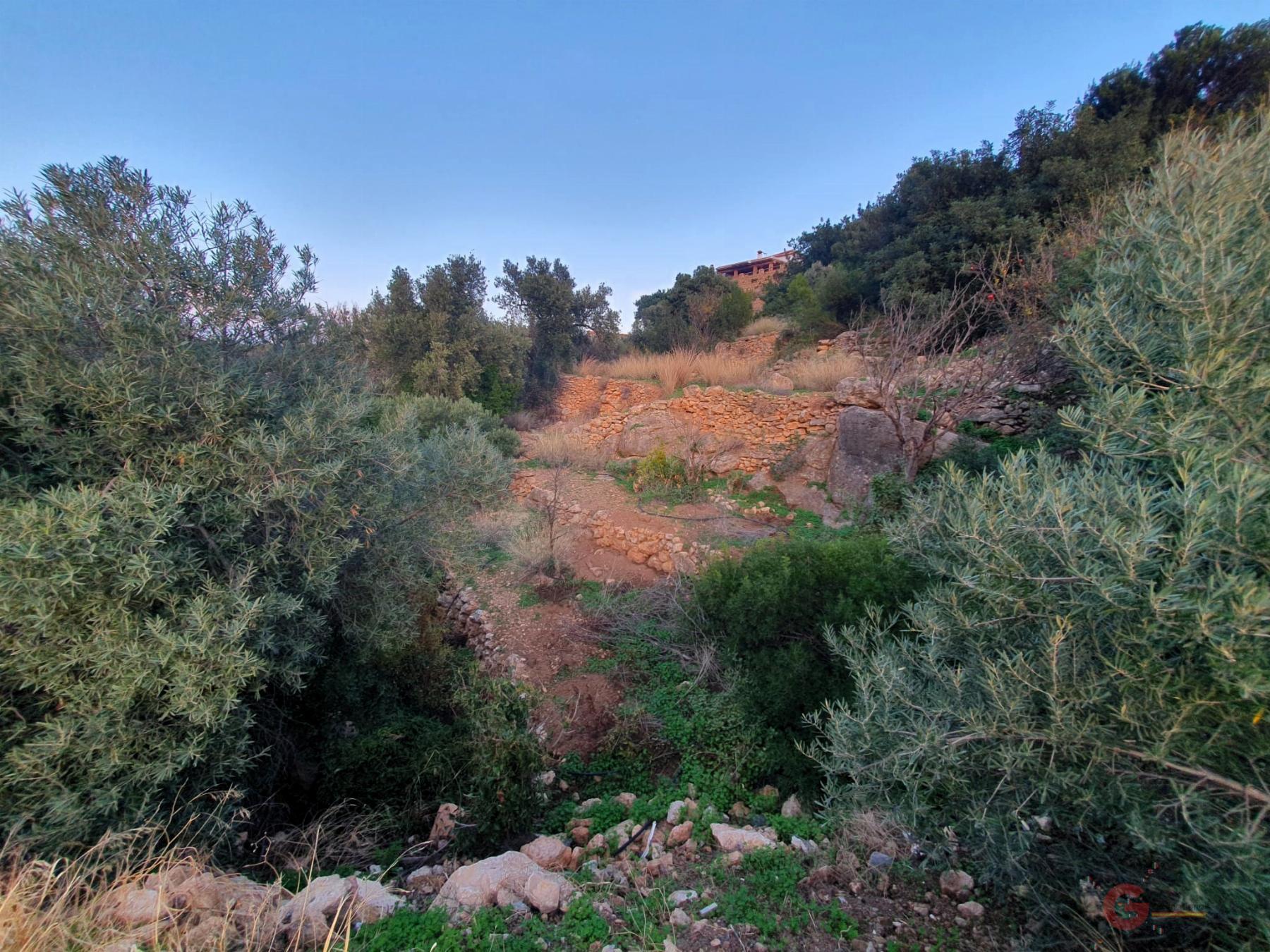 Venta de finca rústica en Vélez de Benaudalla