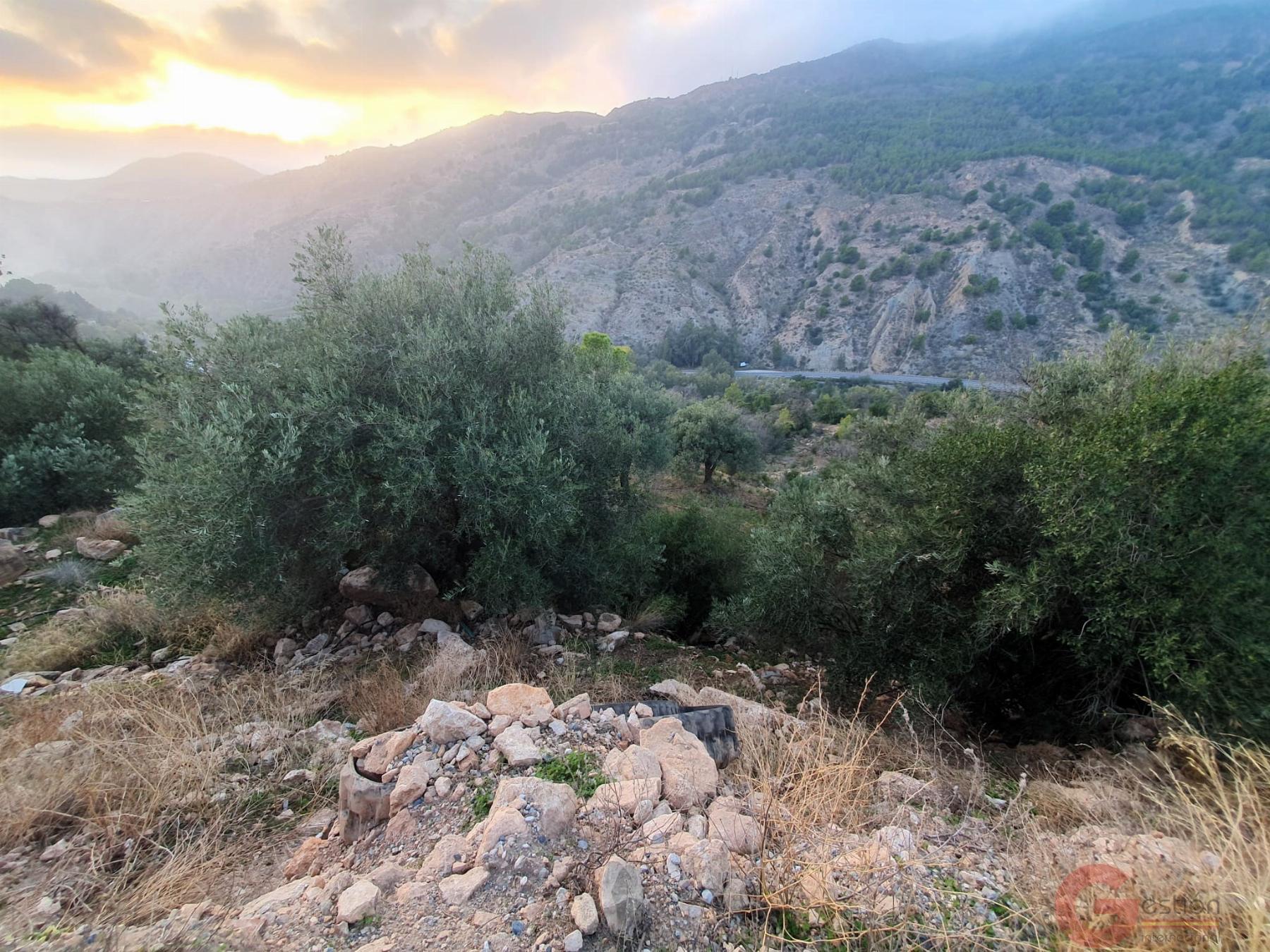 Venta de finca rústica en Vélez de Benaudalla Venta de finca rústica en Vélez de Benaudalla