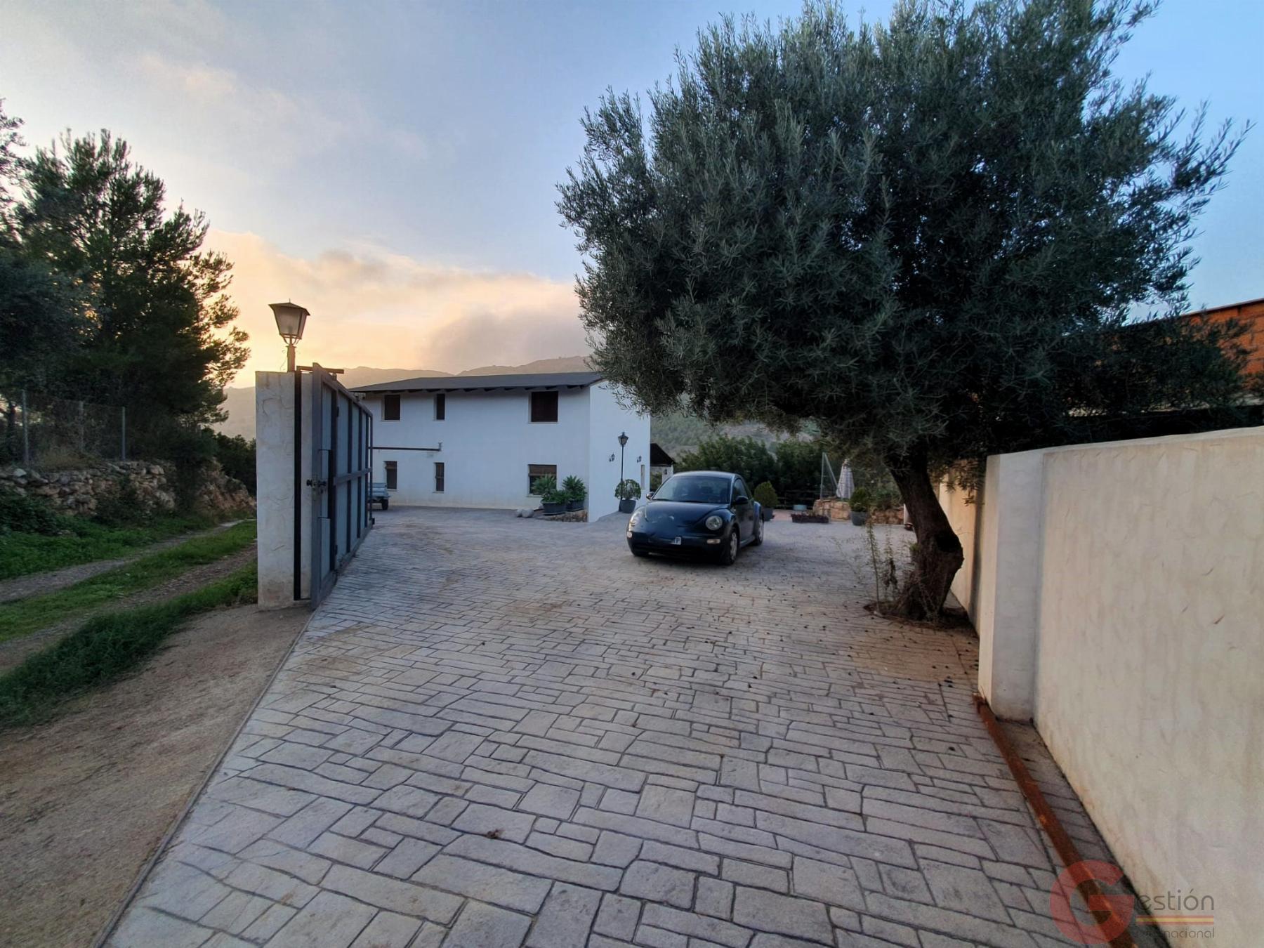 Venta de finca rústica en Vélez de Benaudalla Venta de finca rústica en Vélez de Benaudalla