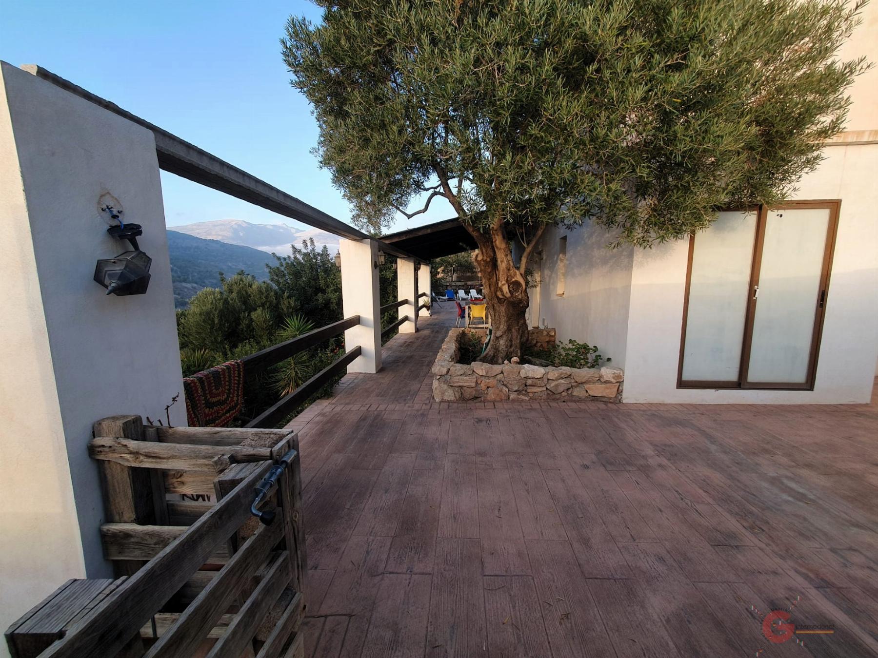 Venta de finca rústica en Vélez de Benaudalla