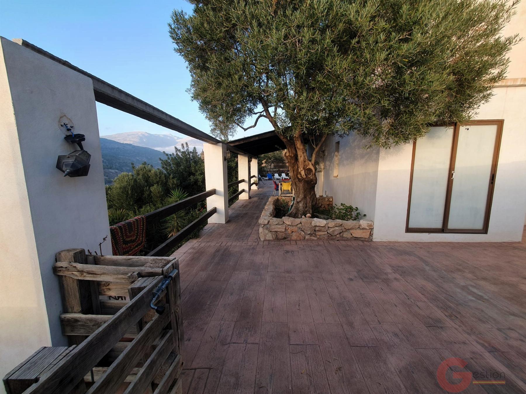 Venta de finca rústica en Vélez de Benaudalla Venta de finca rústica en Vélez de Benaudalla