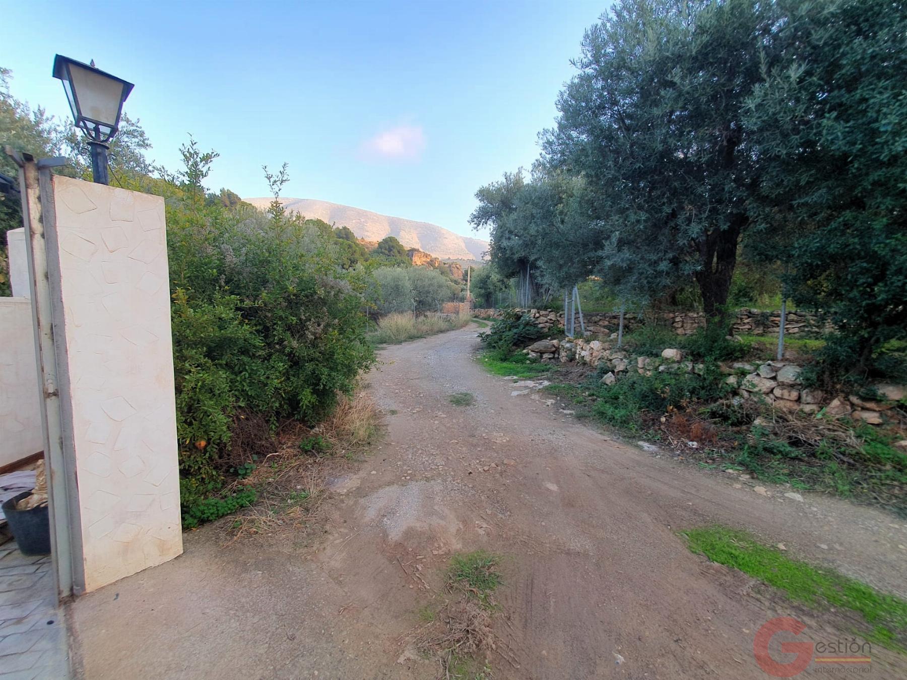 Venta de finca rústica en Vélez de Benaudalla Venta de finca rústica en Vélez de Benaudalla