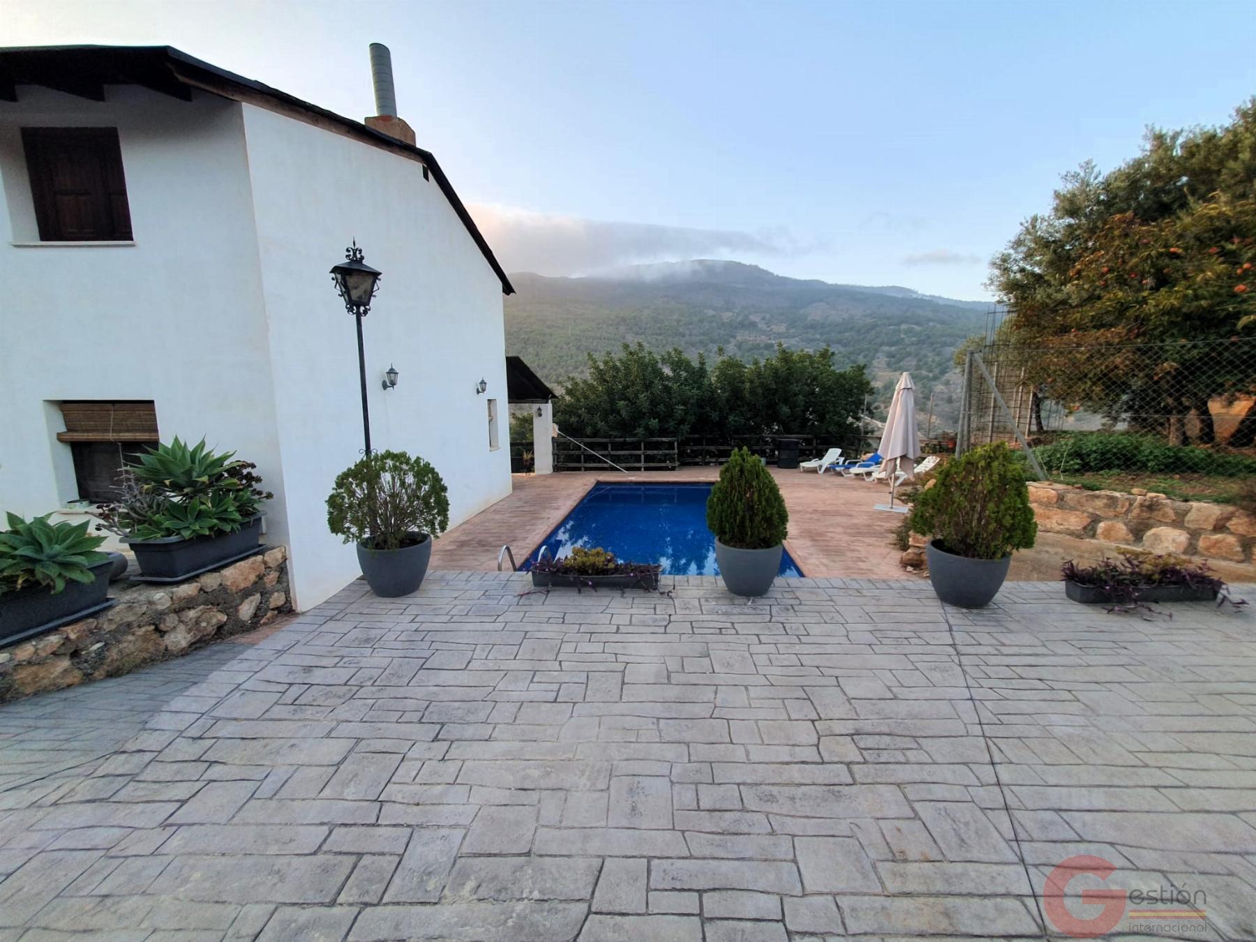 Venta de finca rústica en Vélez de Benaudalla Venta de finca rústica en Vélez de Benaudalla