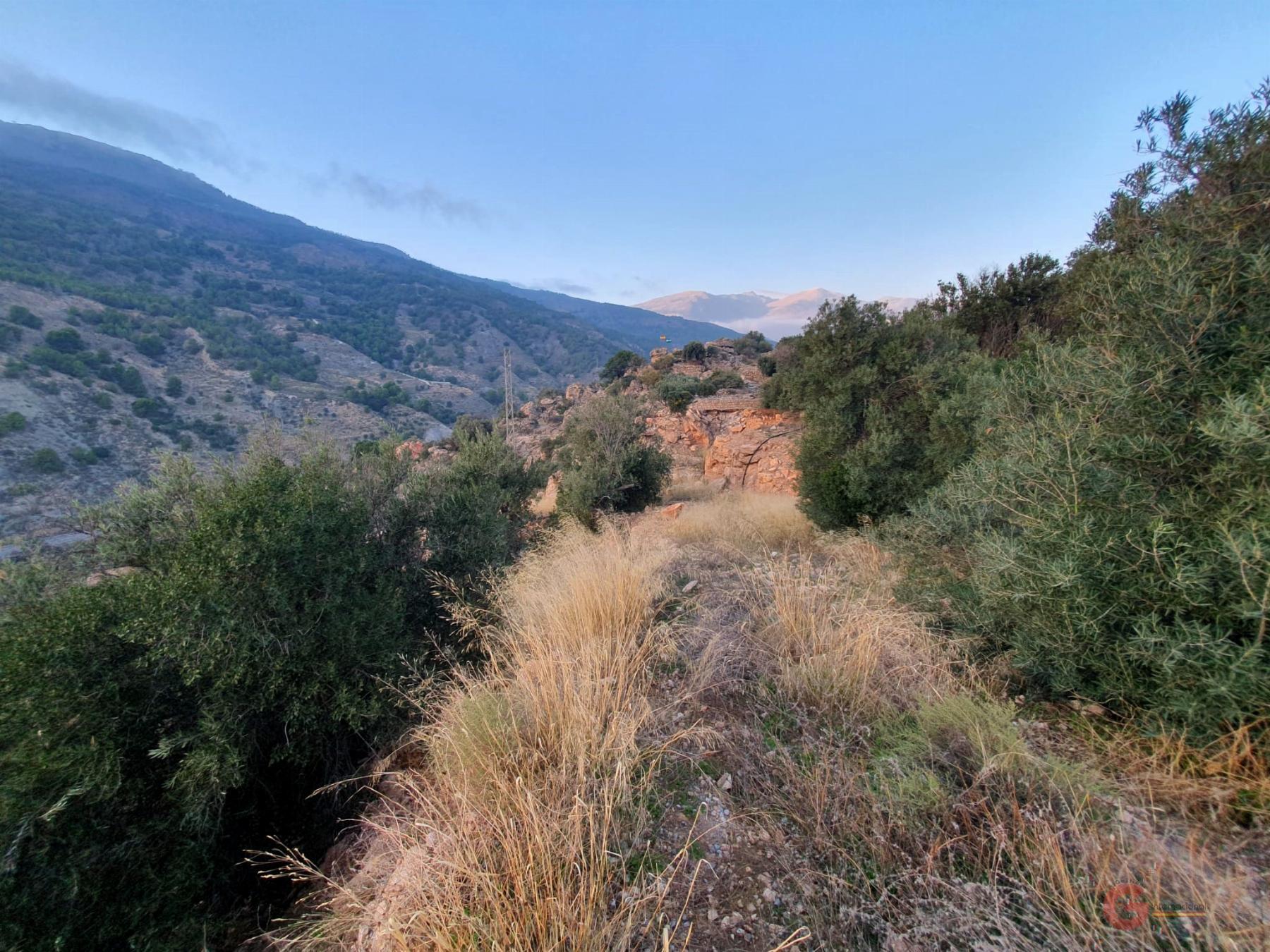Venta de finca rústica en Vélez de Benaudalla