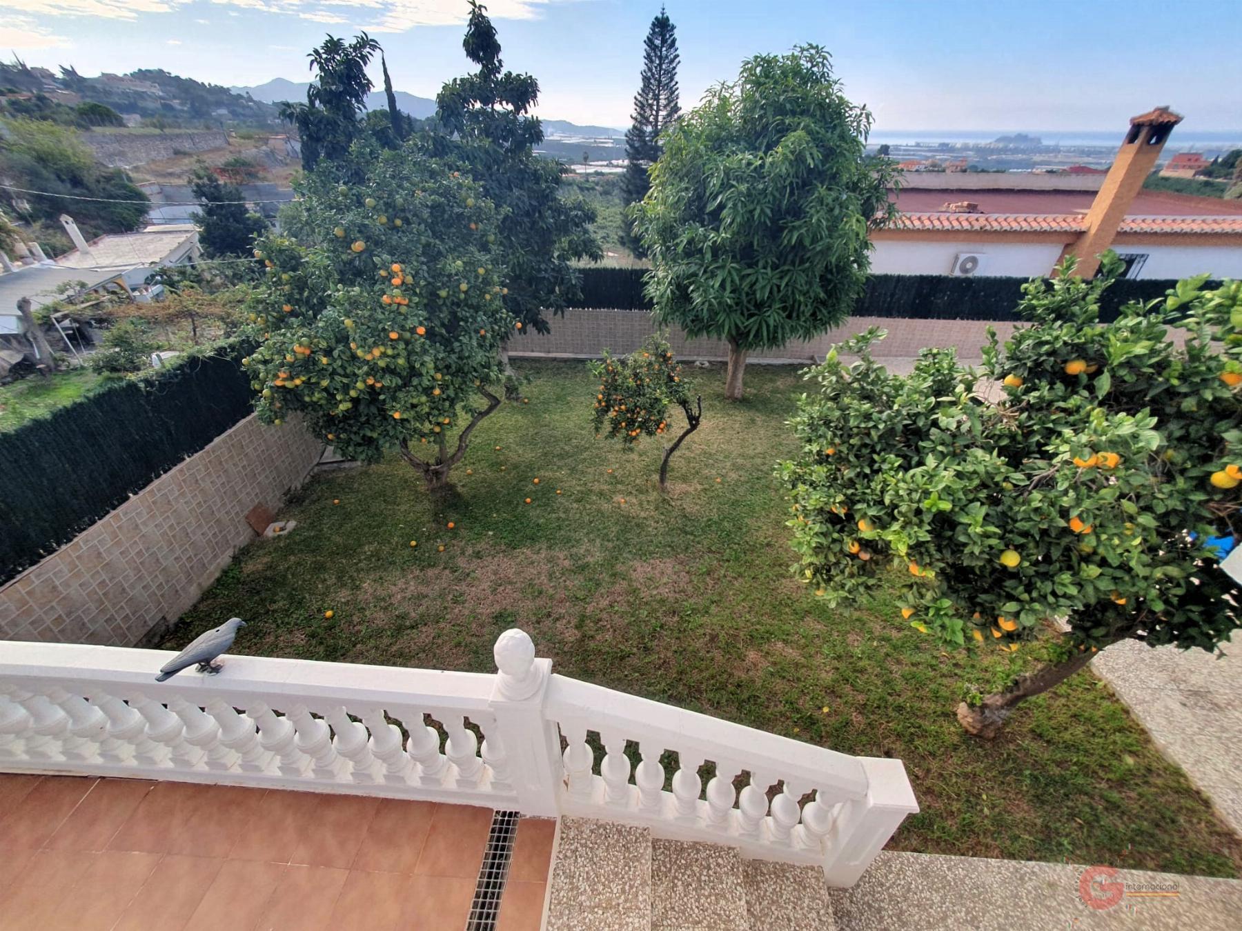 For sale of rural property in Motril