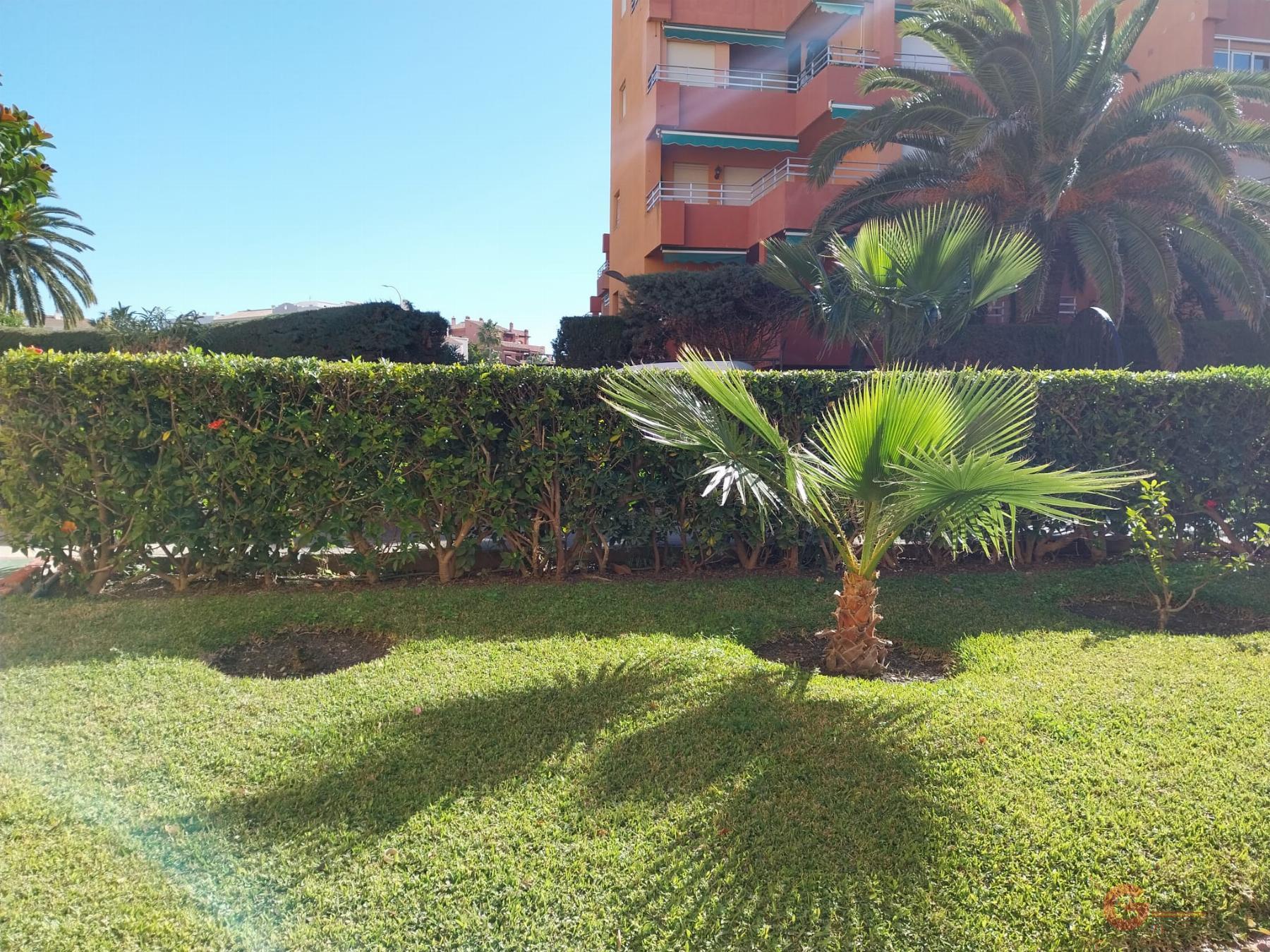 Vente de local commercial dans Salobreña